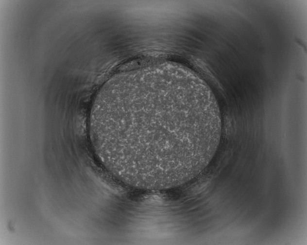 X0000099420259200806061002