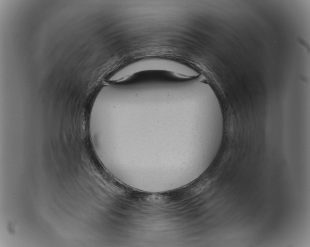 X0000099420261200806061002