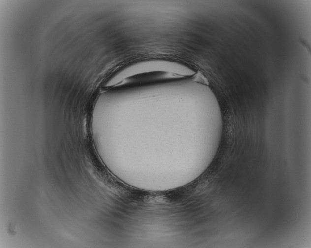 X0000099420262200806061002