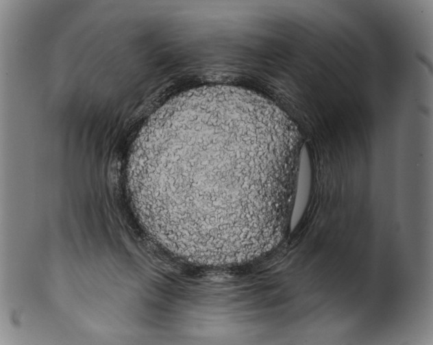 X0000099420263200806061002