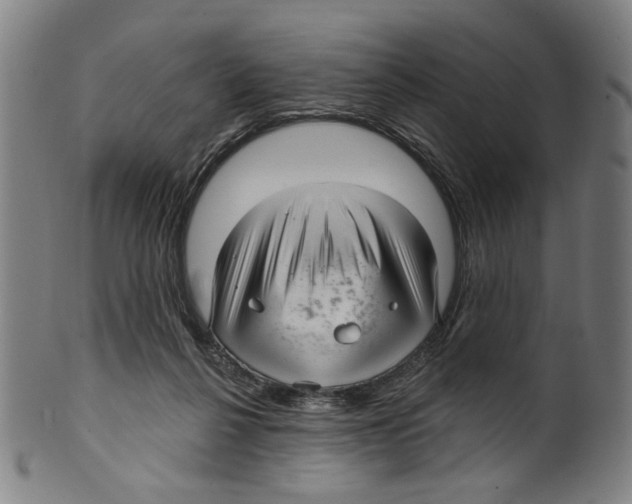 X0000099420264200806061002