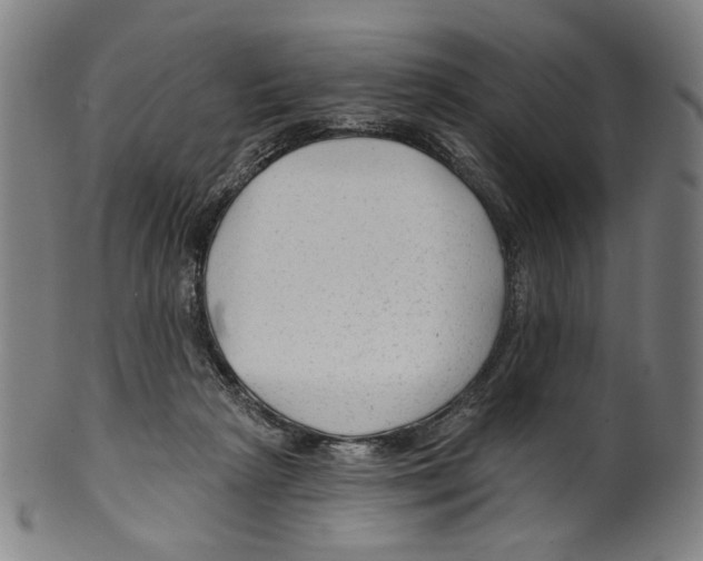 X0000099420265200806061002