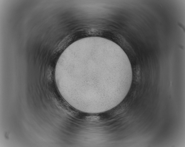 X0000099420266200806061002