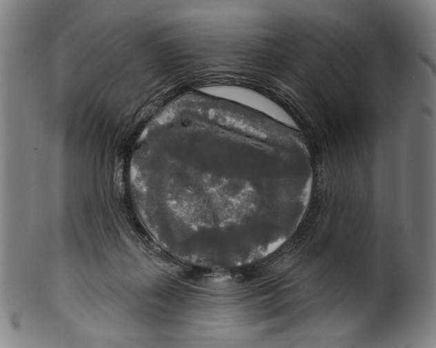 X0000099420267200806061002