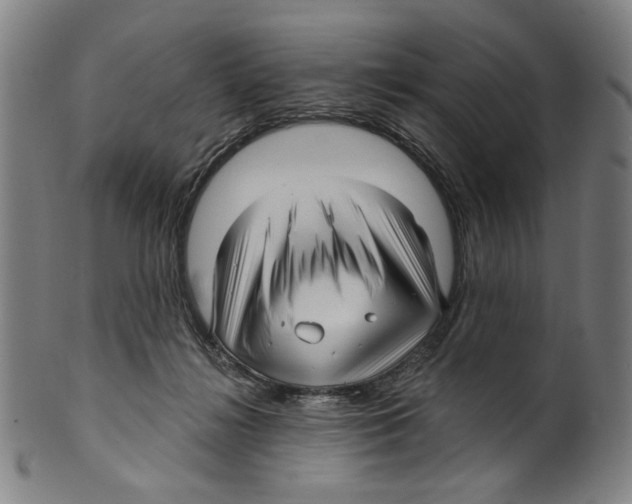 X0000099420268200806061002