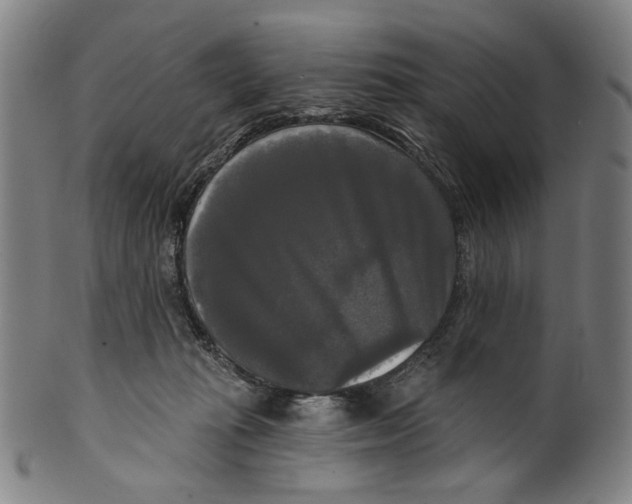 X0000099420269200806061002