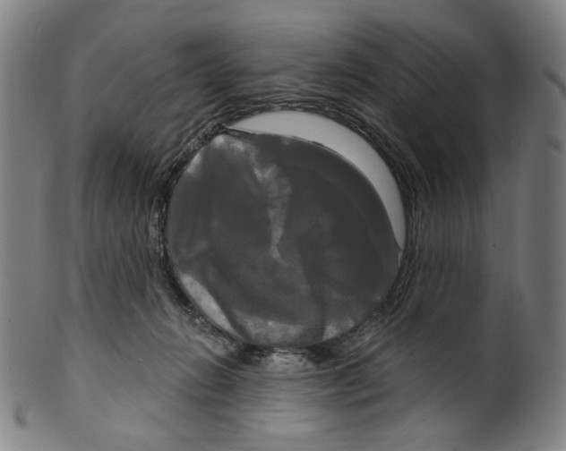 X0000099420270200806061002