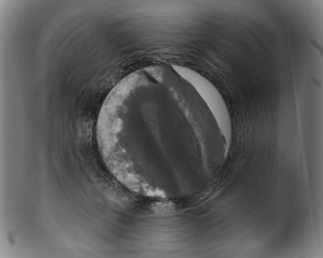 X0000099420271200806061002