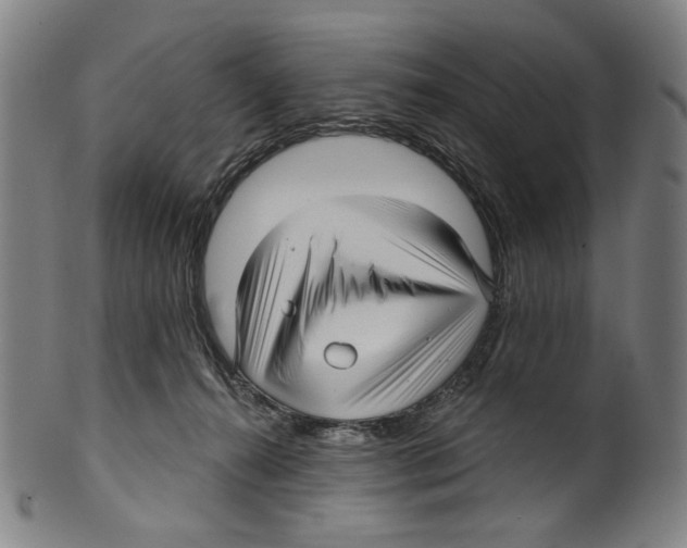 X0000099420272200806061002
