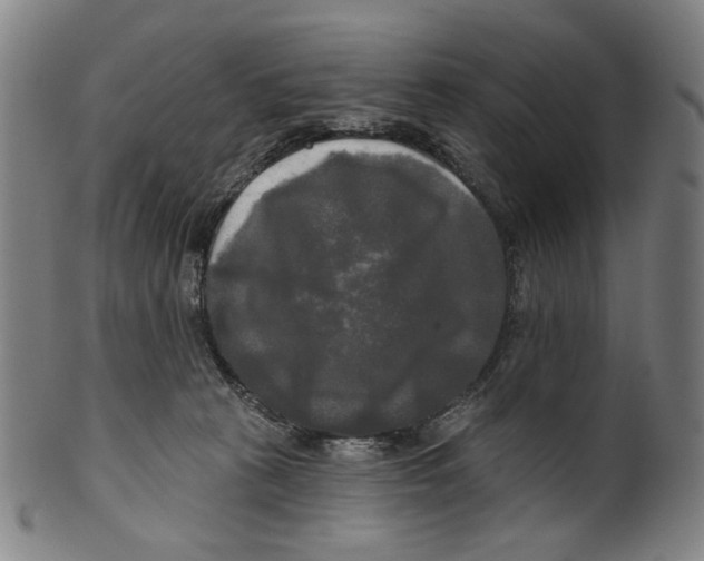X0000099420273200806061002