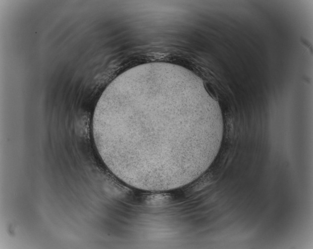 X0000099420274200806061002