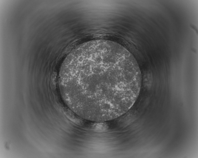 X0000099420275200806061002