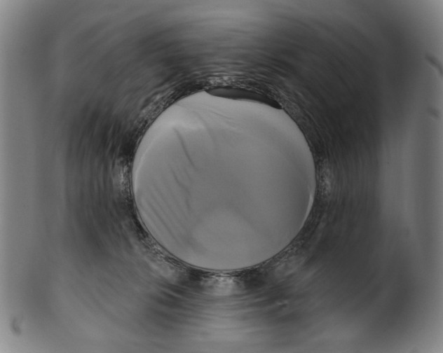 X0000099420276200806061002