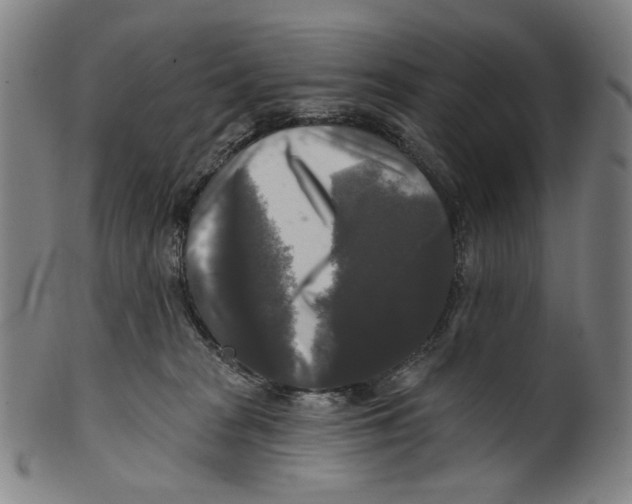 X0000099420277200806061002