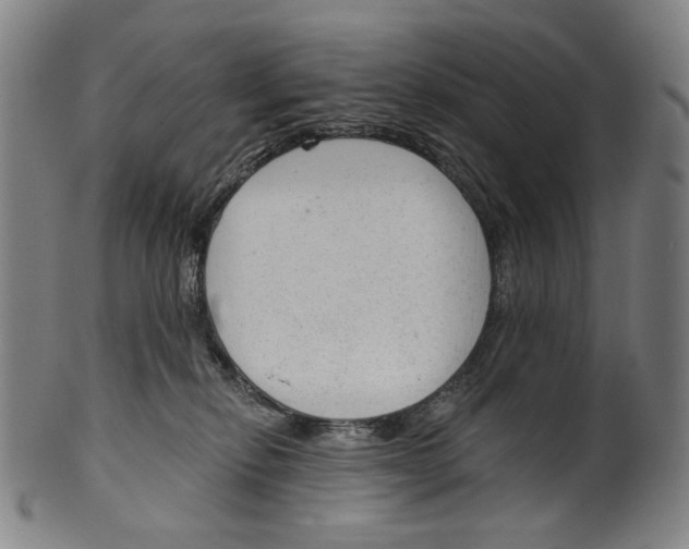 X0000099420278200806061002