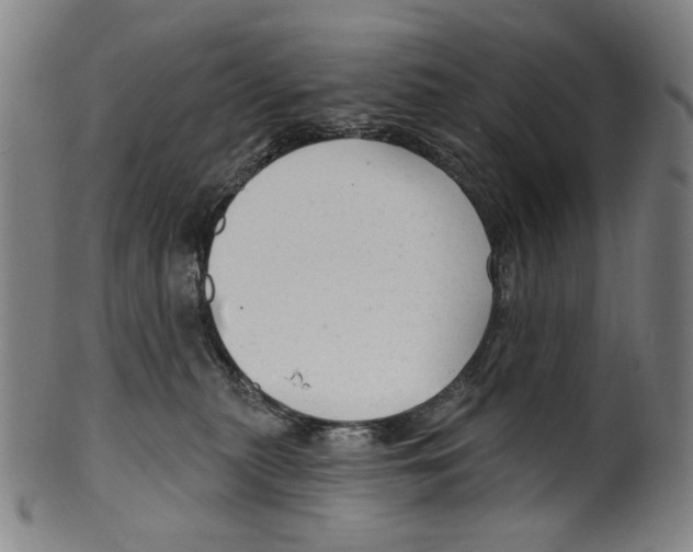 X0000099420279200806061002