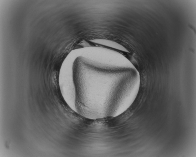X0000099420280200806061002