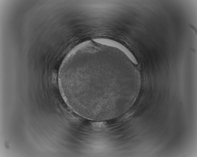 X0000099420281200806061002