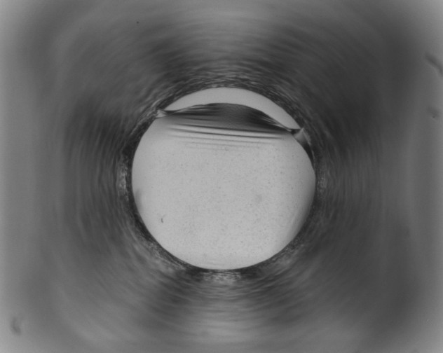 X0000099420282200806061002