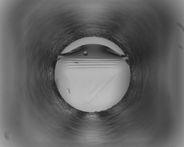 X0000099420283200806061002