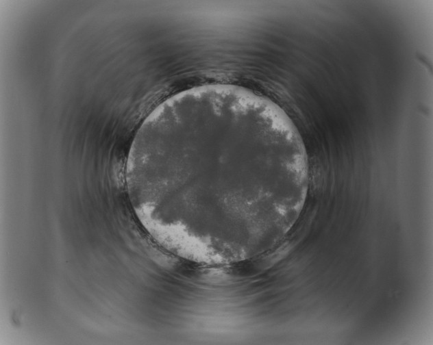 X0000099420285200806061002