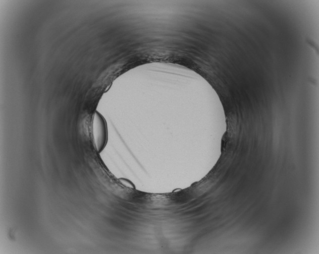 X0000099420287200806061002