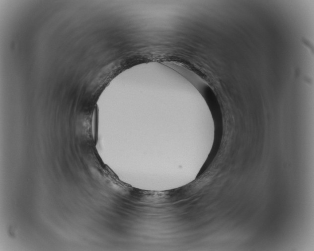 X0000099420288200806061002