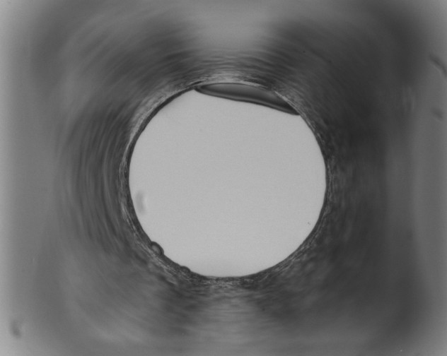 X0000099420289200806061002