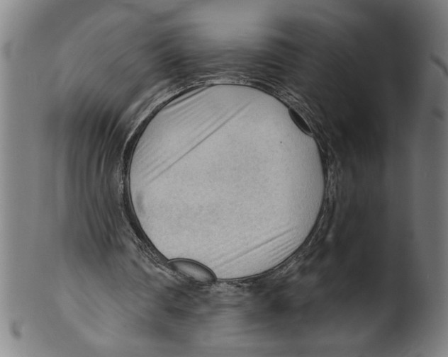 X0000099420290200806061002