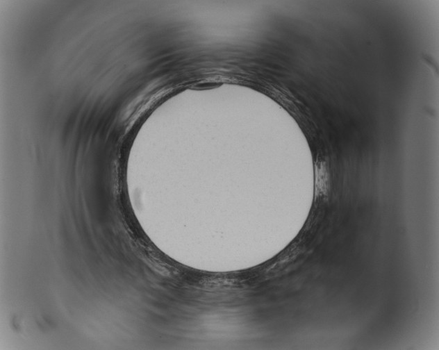 X0000099420291200806061002