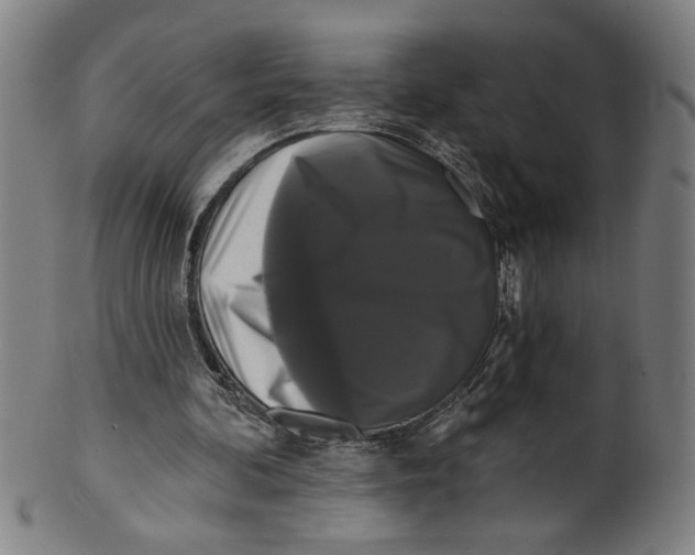 X0000099420292200806061002