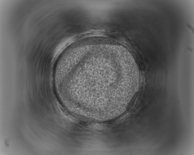 X0000099420293200806061002