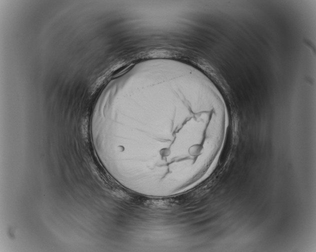 X0000099420297200806061002