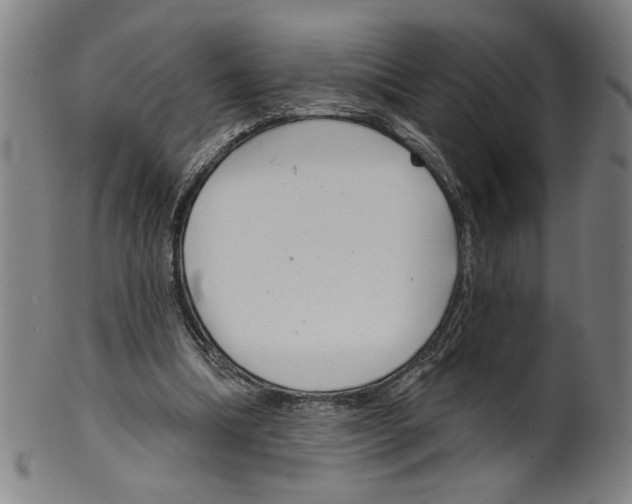 X0000099420298200806061001