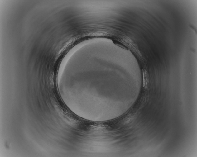 X0000099420300200806061001