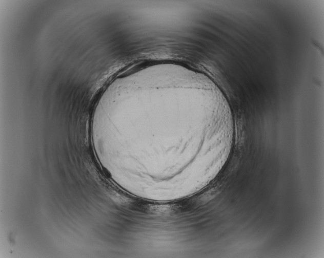 X0000099420301200806061001