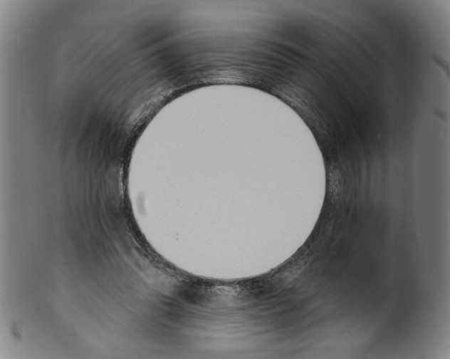 X0000099420302200806061001