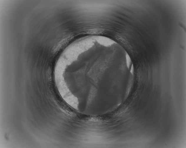 X0000099420303200806061001