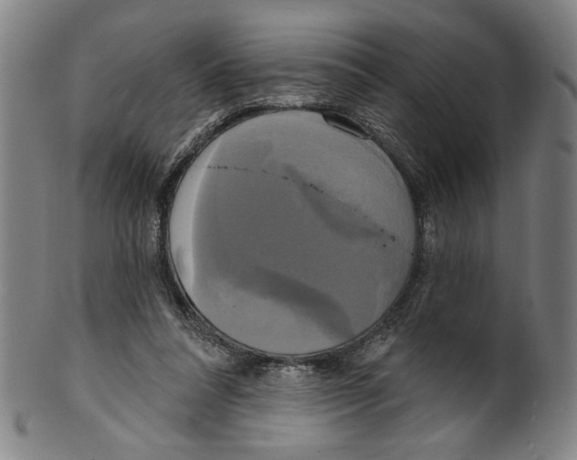 X0000099420304200806061001
