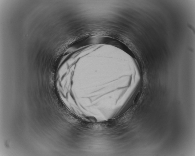 X0000099420305200806061001