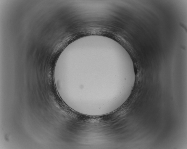 X0000099420306200806061001