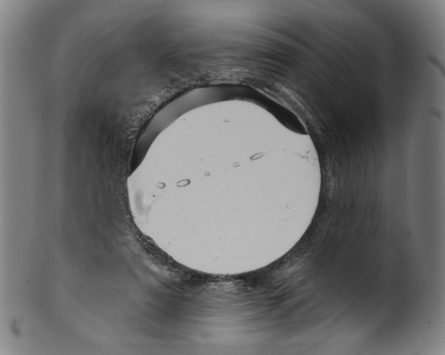 X0000099420307200806061001