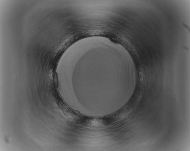 X0000099420308200806061001