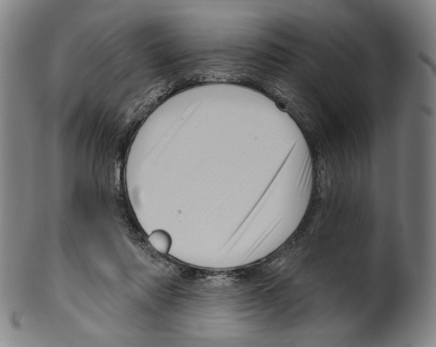 X0000099420310200806061001