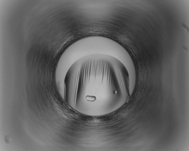 X0000099420312200806061001