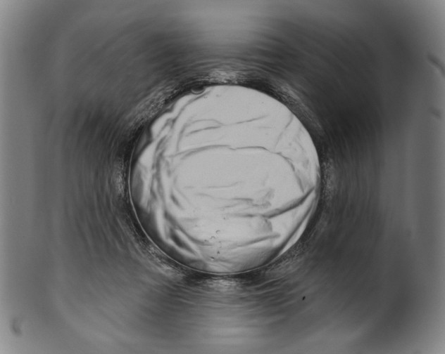 X0000099420313200806061001