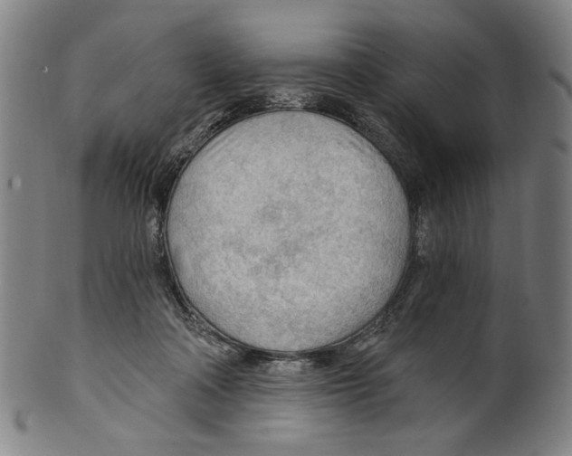 X0000099420314200806061001