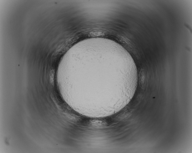 X0000099420315200806061001