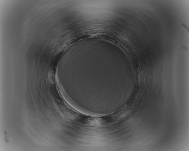 X0000099420316200806061001