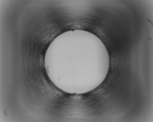 X0000099420318200806061001